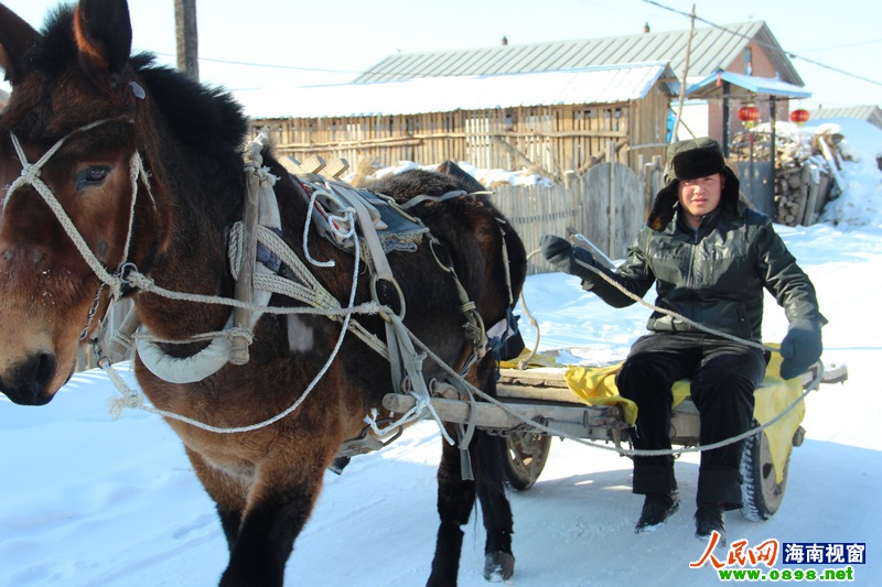 东北年景一瞥:雪地赶马车回娘家(组图)【2】