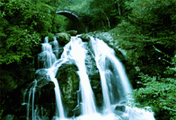 井冈山在哪里具体地址 MAIN201303091734061799789799511.gif