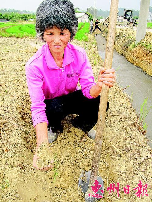 惠州:春雨贵如油 田地仍喊渴