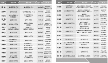 中国人口年龄结构图_人口年龄组划分