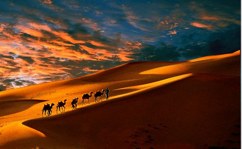 中国沙漠赛车基地--大沙头旅游景区