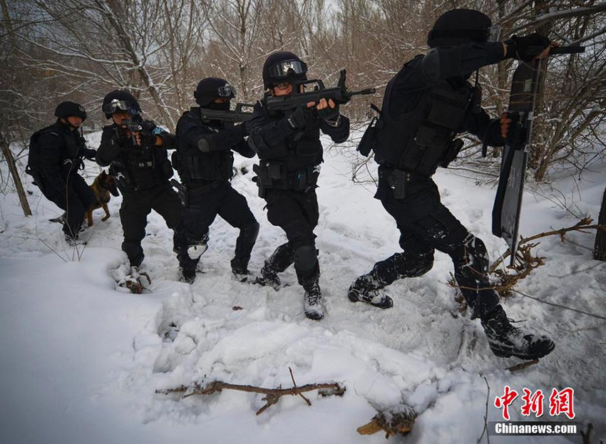 乌市公安局特警八支队所属的“飞虎突击队”训练图