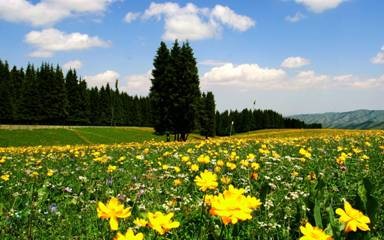 南山-幽境  菊花台位于乌鲁木齐市西南的甘沟乡境内.