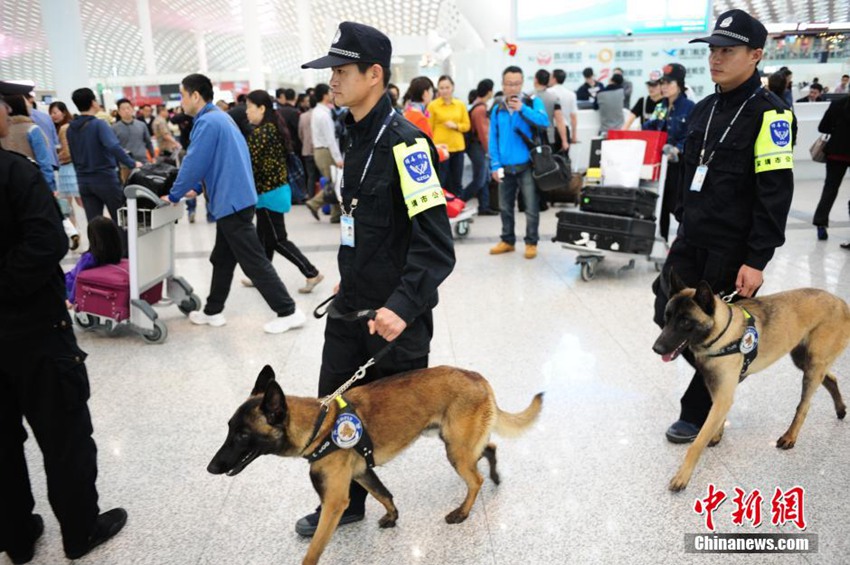 高清:深圳机场航班大面积延误或取消 滞留旅客
