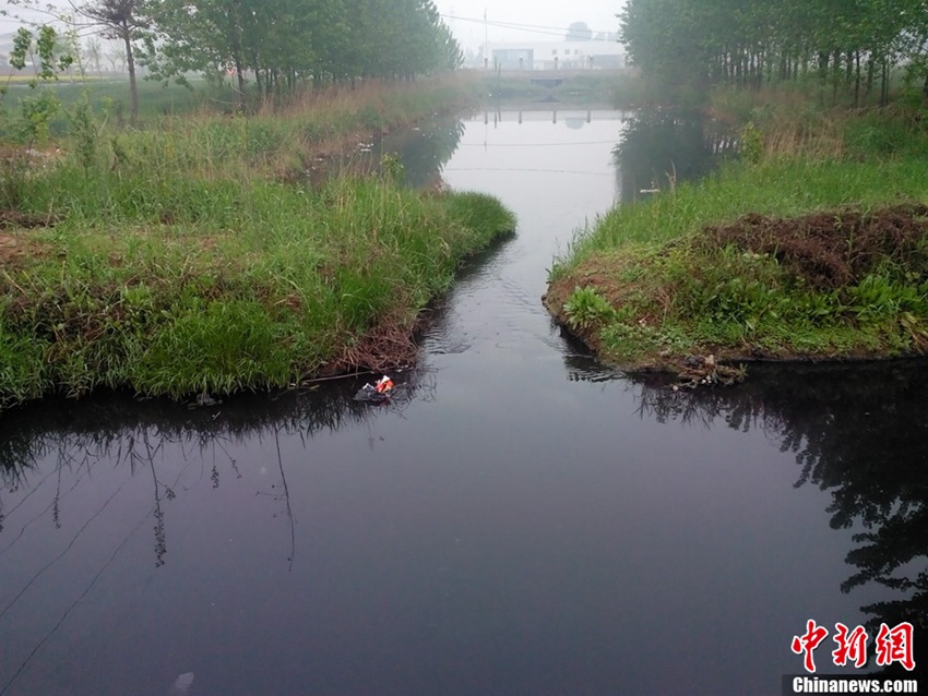 河南虞城工业园污水直排 数公里河道被染黑