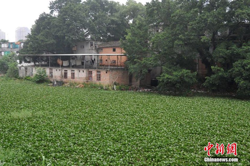 跳到铁耙上致木棍插进肛门