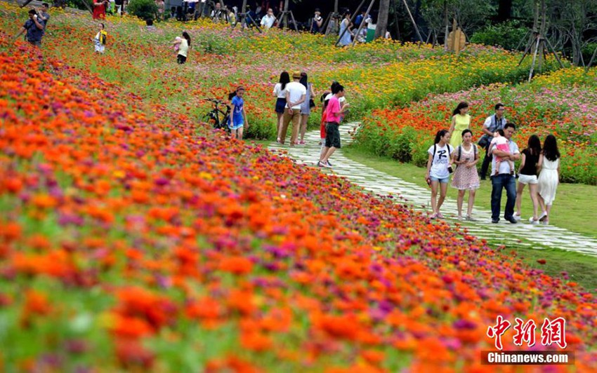 花海公园