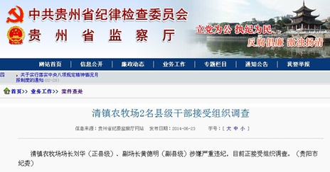 副县级_副县级干部 收入(2)