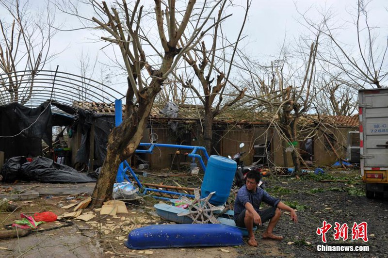 高清:台风过境 镜头实拍海南文昌翁田灾后现状