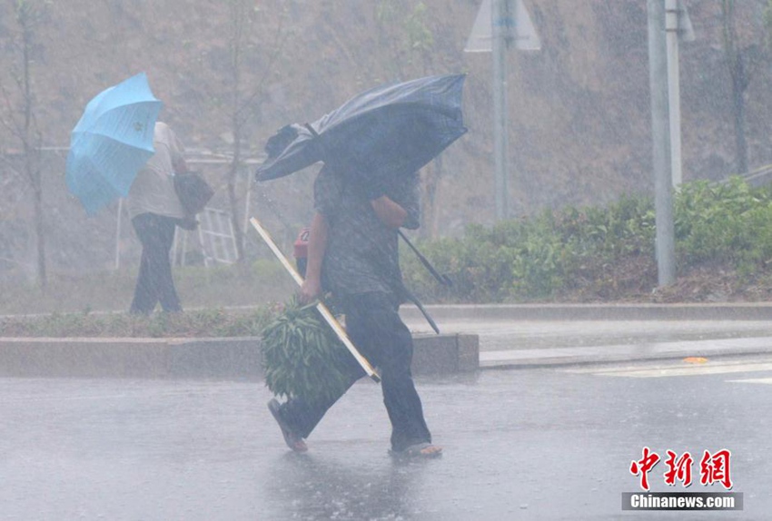 高清:台风麦德姆登陆福建 带来狂风暴雨