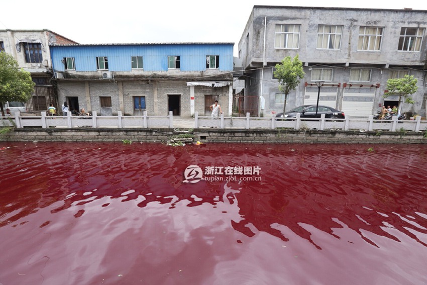 高清:温州苍南惊现血河 环保部门已在调查