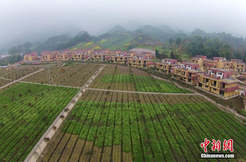 高清:四川雅安震灾区重建新村成风景