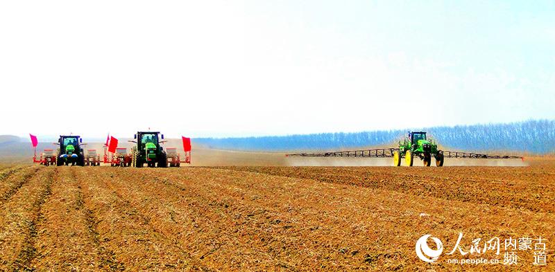 内蒙古呼伦贝尔垦区正在进行大型机械化春耕作业。岳鸿钧 摄