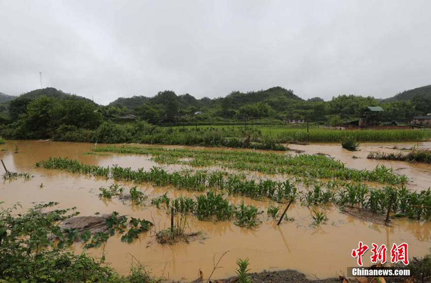 武宁县城人口_人民网武宁8月30日电(秦海峰、时雨、朱超)宽敞的客厅、整洁的