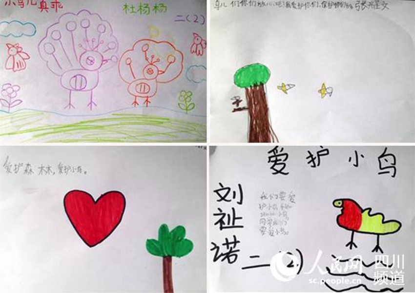 成都熊猫路小学的孩子们画出自己喜欢的鸟，共同承诺“鸟儿那么美丽，我们一起来保护它们吧！”（王雪蓉 摄）
