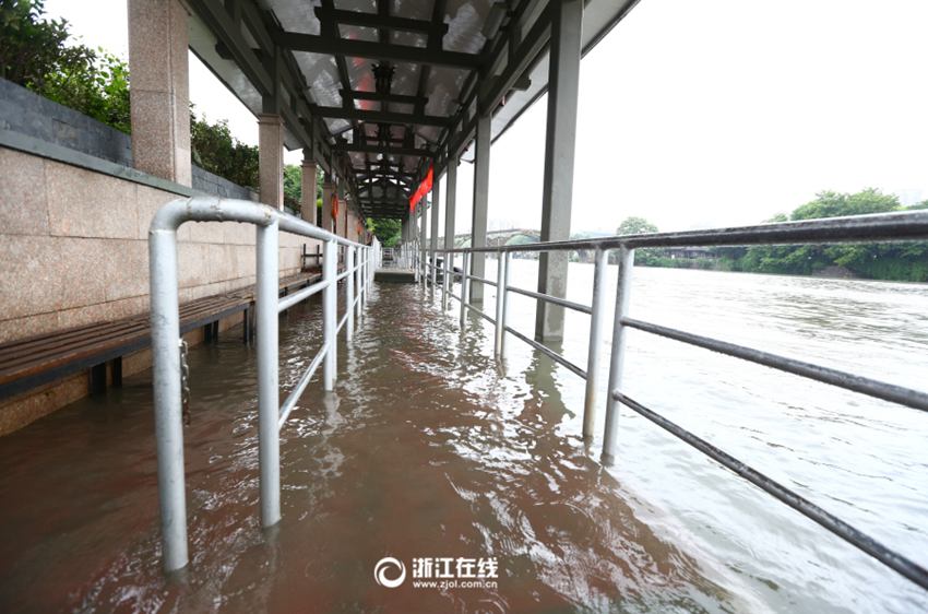 高清:杭州暴雨预警升级 水上巴士停航