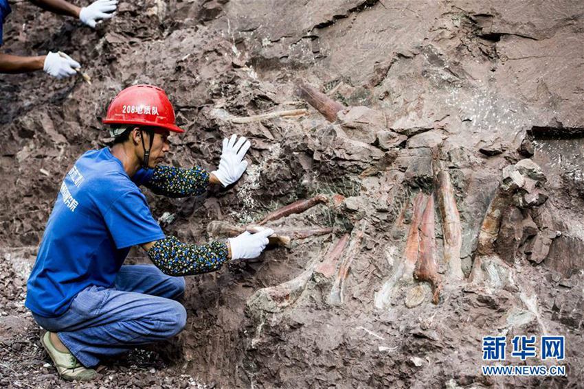 重庆市地质矿产勘查开发局208水文地质工程地质队的技术工人在对发掘