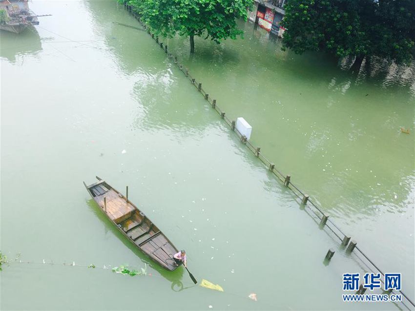 高清:广东封开县洪水漫街--地方领导--人民网