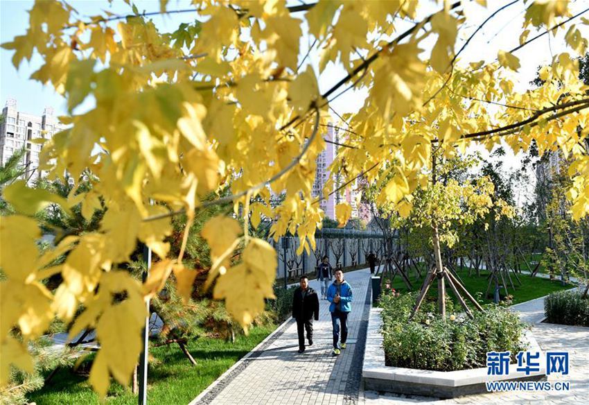 【高清】北京:居民楼前闲置地变身城市休闲公