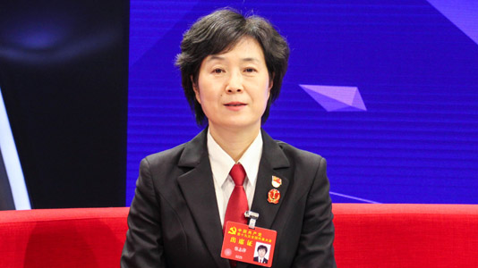 十九大代表、天津市第一中级人民法院党组书记