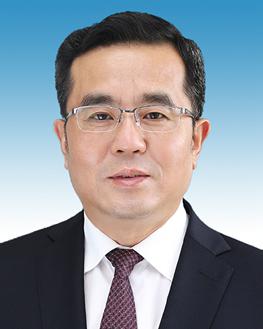 安徽省淮南市市长张孝成给人民网网友拜年