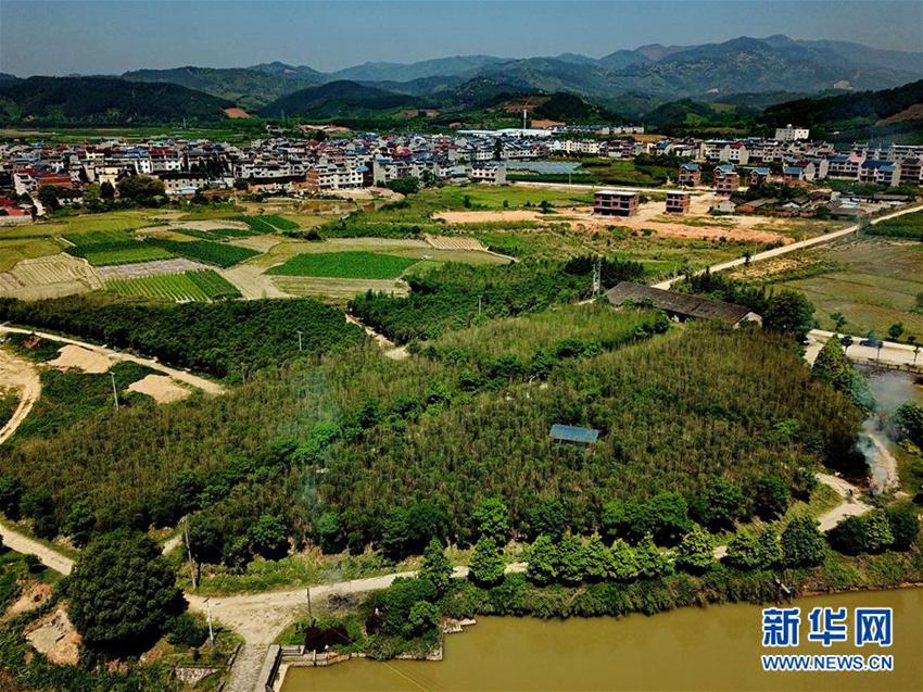 农民伯伯乡下妹_2017年福建农民纯收入