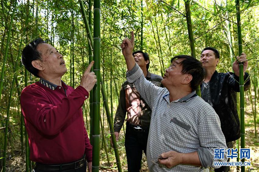农民伯伯乡下妹_2017年福建农民纯收入