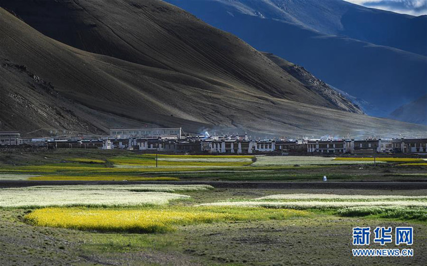 晨光中,西藏日喀则市康马县一处村落炊烟袅袅(7月27日摄).