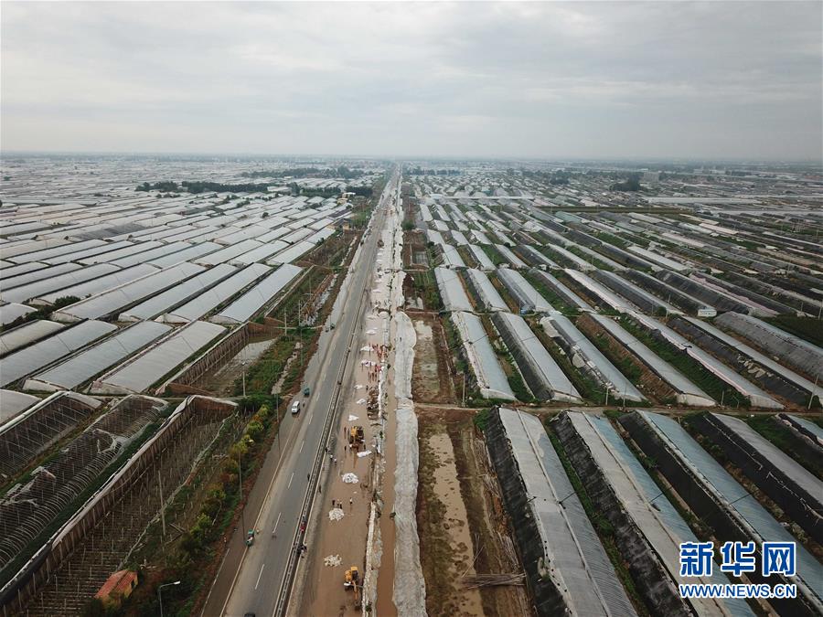 大型机械在寿光市纪台镇东方村附近308国道南侧挖排水渠（8月31日无人机拍摄）。