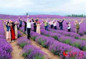 ����:��ɫ���� �ҷ�����