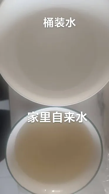 网友供图