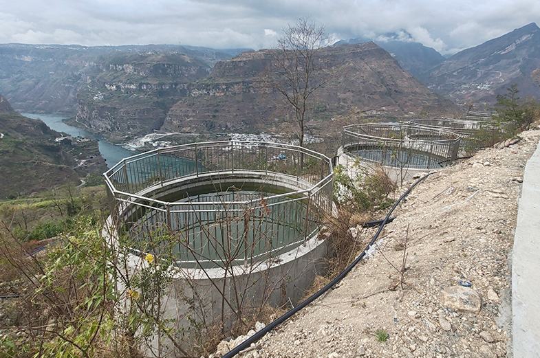 一条留言撬动一类改变