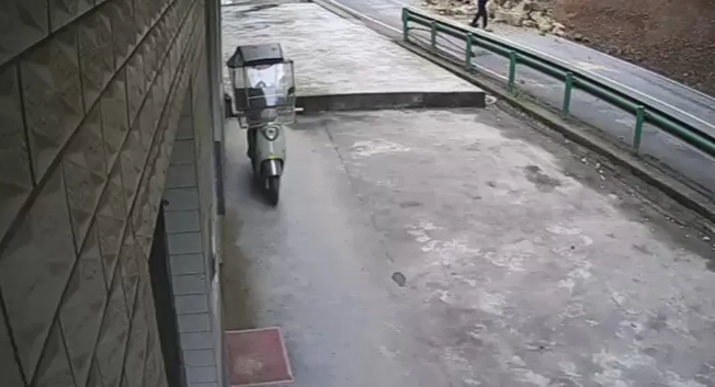 网友供图