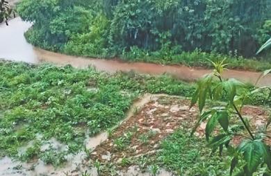  身边事｜设施不完善 雨水漫农田 