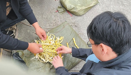 来信调查 | 这里的竹笋为何在用硫磺熏