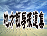 地方领导报道集