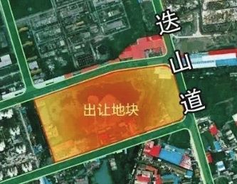 东丽区成林道地块