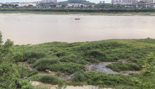 来信调查 | 土地被征收两年半，村民竟然不知情？