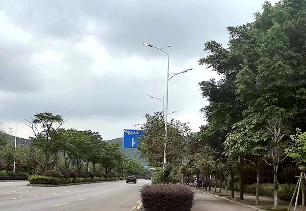 广西柳州鱼峰区博园大道南段东风柳汽乘用车基地西一门至西四门路灯安装工作已完成。柳州信访局供图